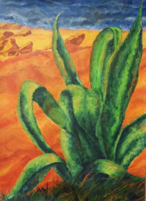 Agave am Meer